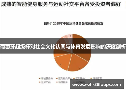 葡萄牙超级杯对社会文化认同与体育发展影响的深度剖析