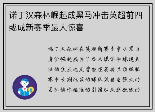 诺丁汉森林崛起成黑马冲击英超前四或成新赛季最大惊喜